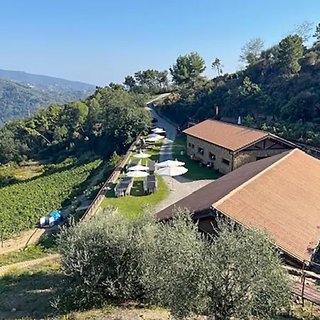 Stunning In With Swimming Pool * Dolceacqua